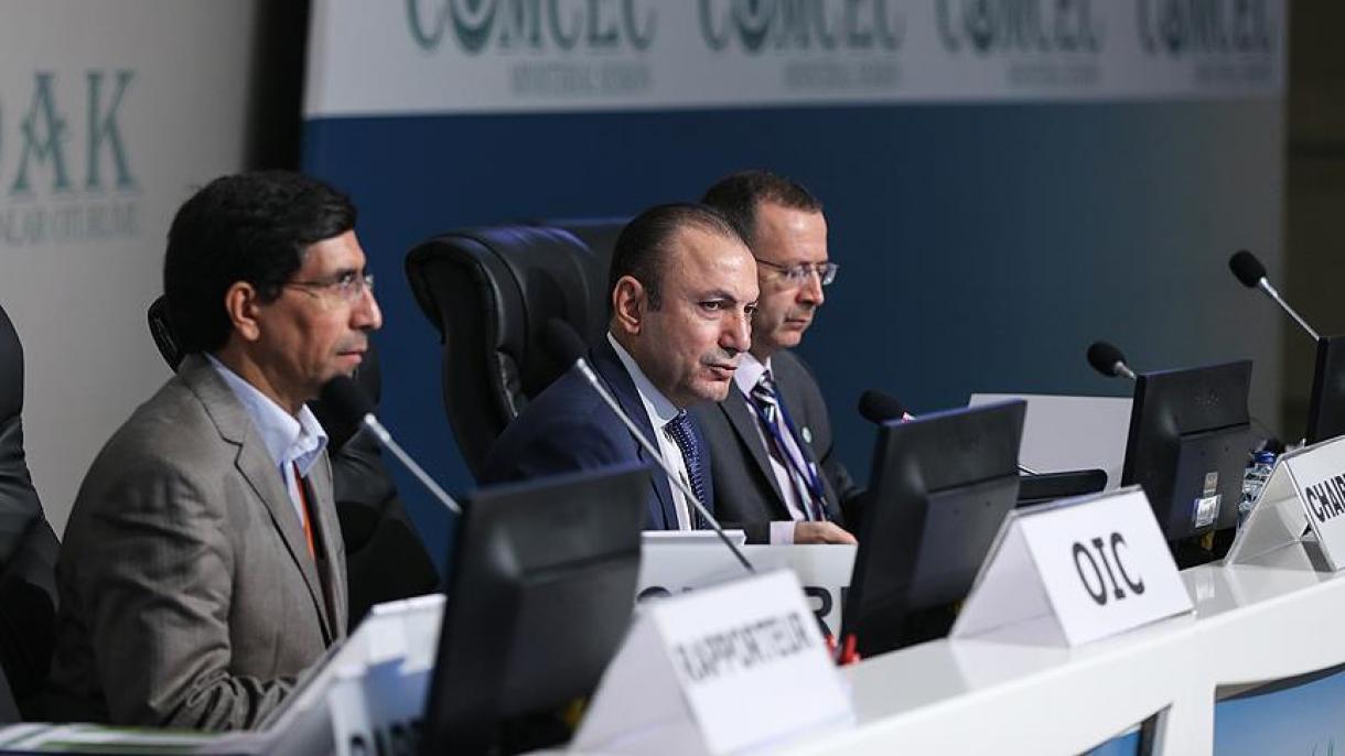 آغاز سی و دومین نشست کمیته دایمی همکاریهای اقتصادی و تجاری سازمان همکاریهای اسلامی در استانبول