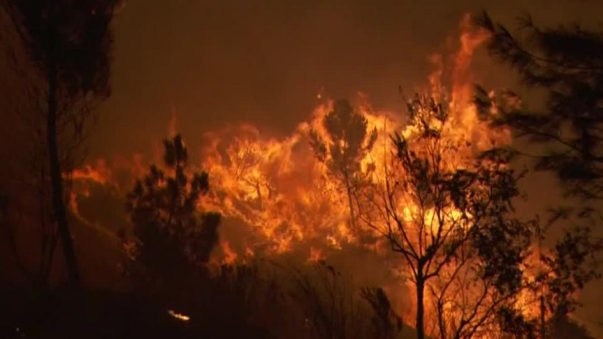 اعلام وضعیت اضطراری به دلیل آتش‌سوزی گسترده در پرتگال