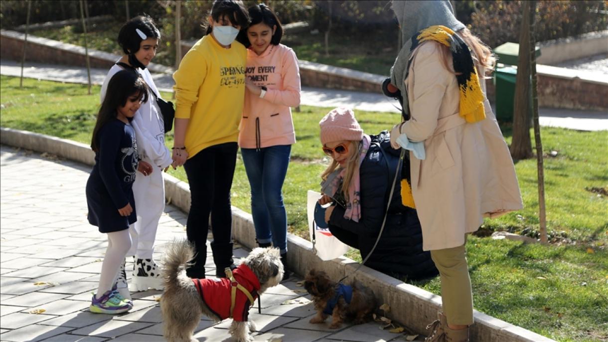 واکنش شهروندان ایرانی درباره طرح صیانت از حقوق عامه در مقابل حیوانات مضر و خطرناک