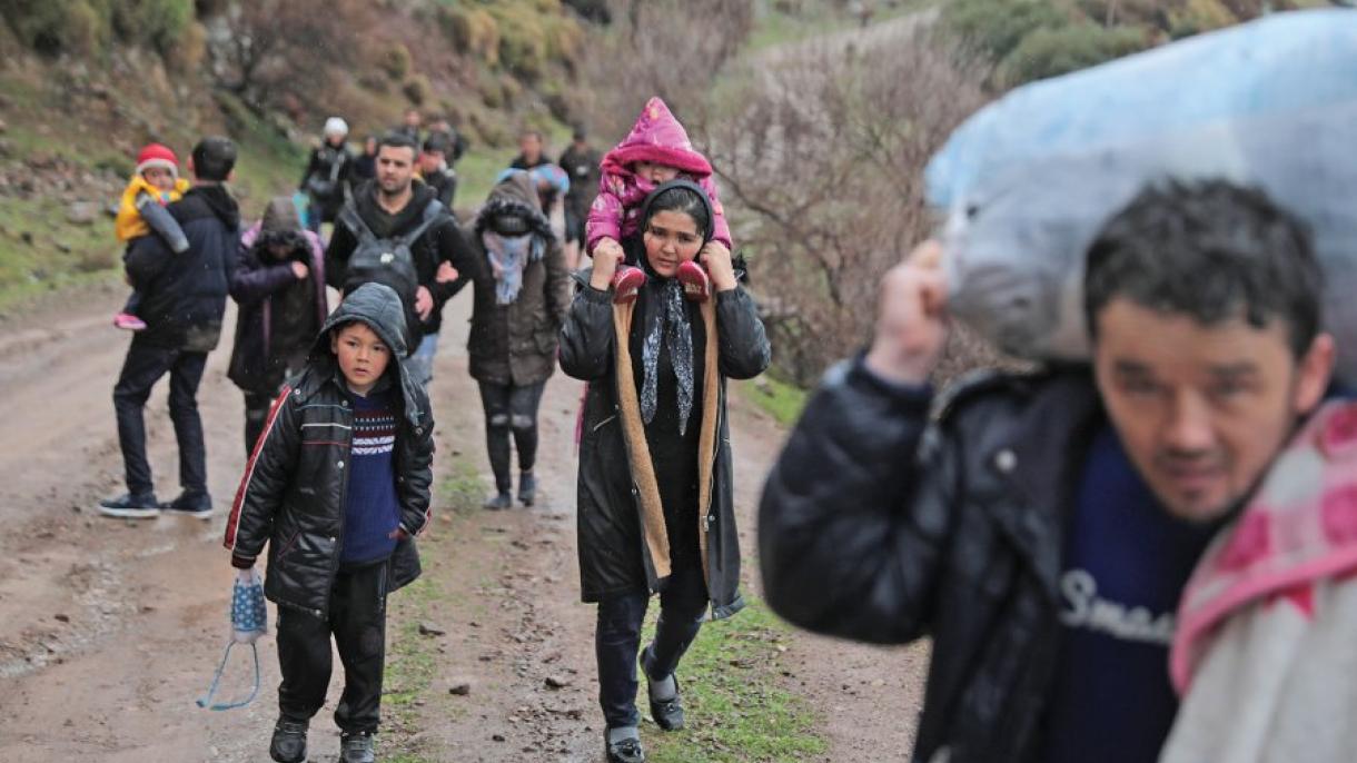Encuesta de la ONU: Una parte de los refugiados quiere regresar a Siria en los próximos 12 meses
