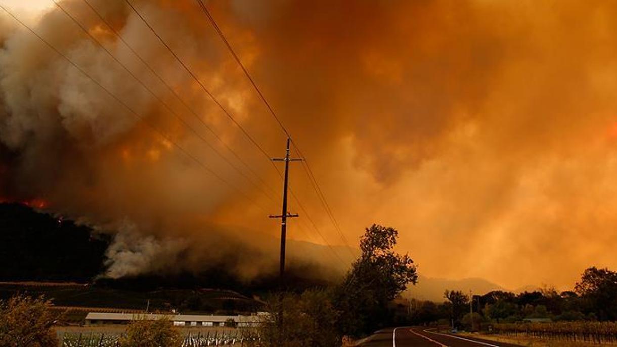 افزایش تعداد کشته شدگان آتش سوزی های جنگلی در کالیفرنیا به 42 نفر