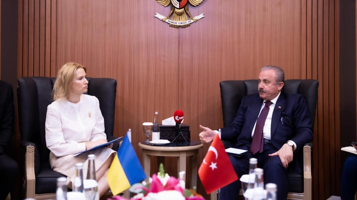 sentop-ukrayna meclis baskani.jpg