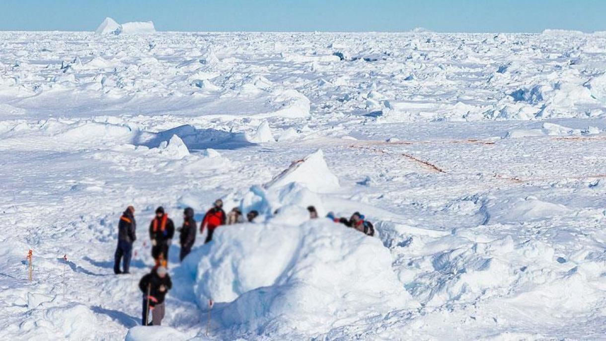 Egy ismeretlen bogárfaj megkövesedett maradványaira bukkantak az Antarktiszon