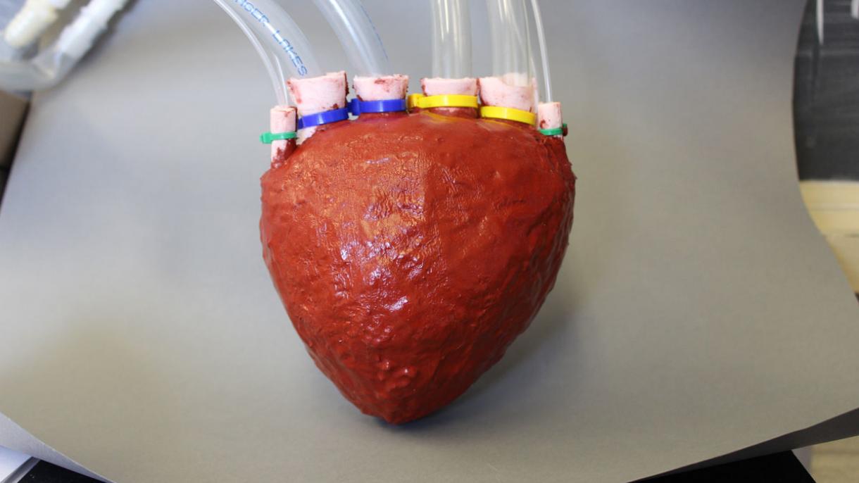 A Veith Szimpóziumon mutatták be a Törökországban gyártott mesterséges szívet
