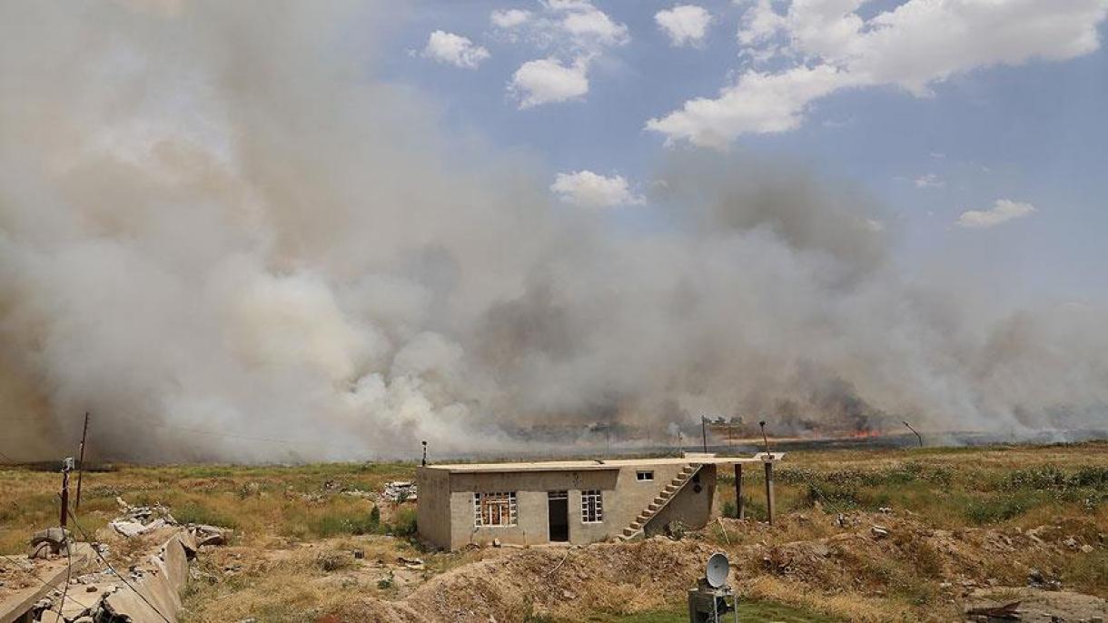 Fuerzas de la coalición matan a 19 miembros del DAESH en Mosul y Kirkuk