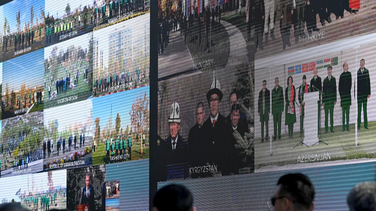 Summitul Consiliului Statelor Turcice