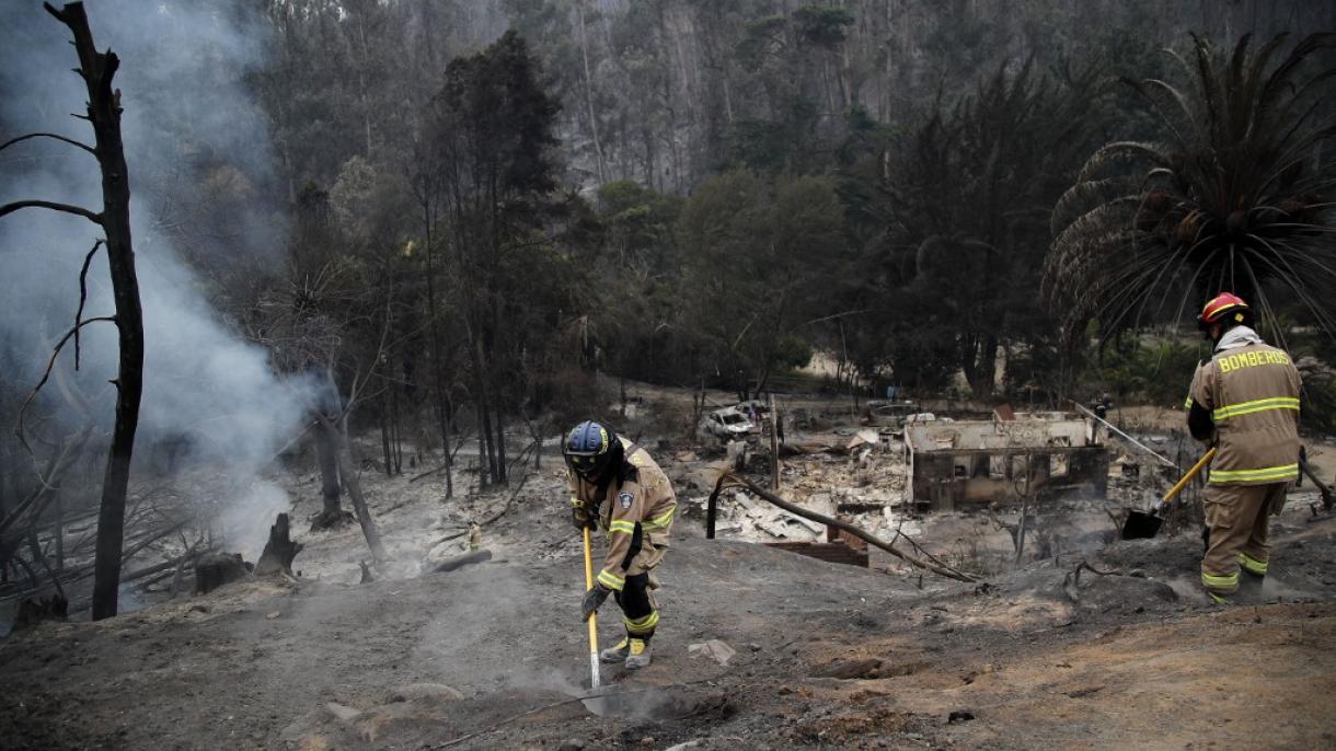 افزایش شمار قربانیان آتش‌سوزی‌های جنگلی در چیلی به 110 نفر