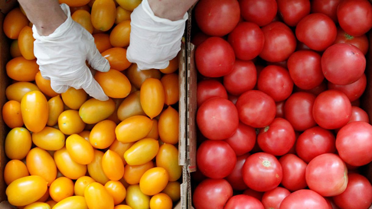 俄罗斯2018年将从土耳其进口5万吨西红柿