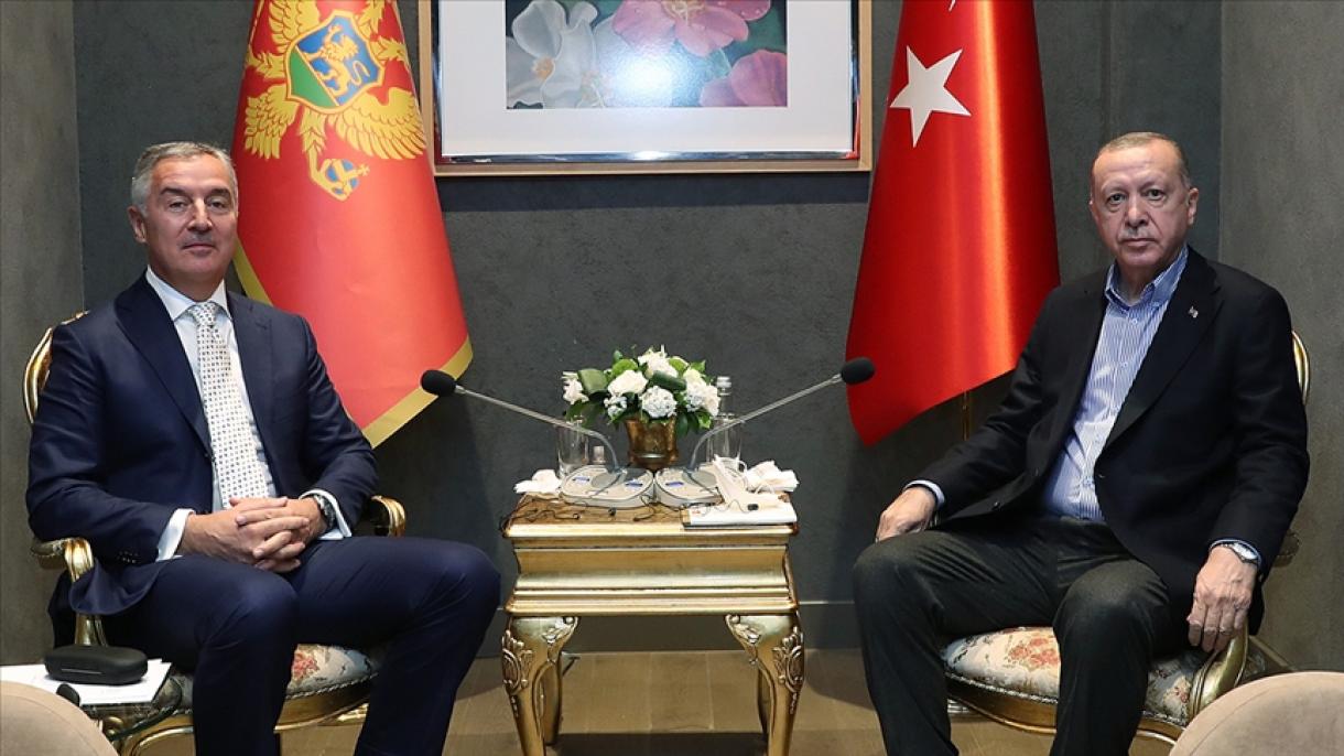 erdogan cukanovic.jpeg