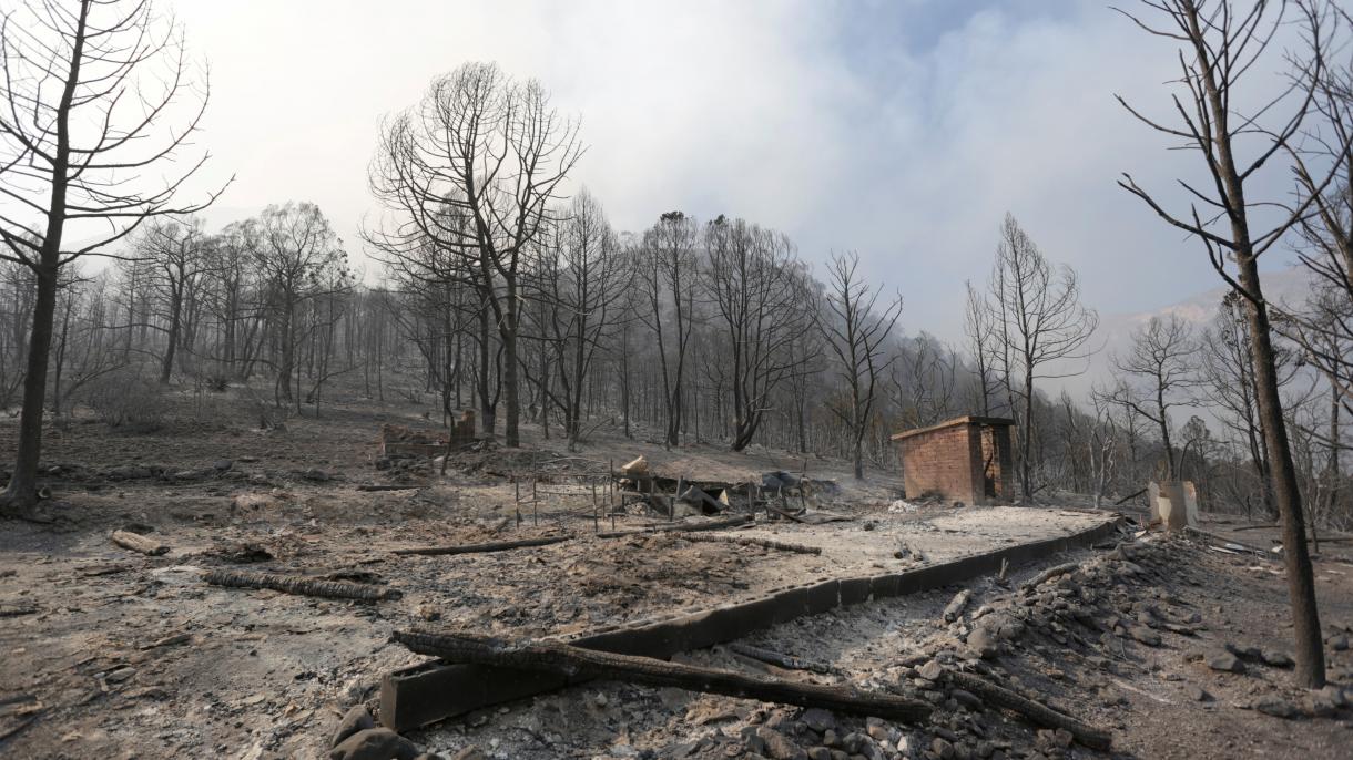 墨西哥发生森林大火 400多人被疏散
