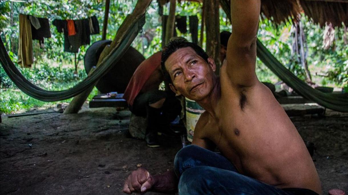 Directora ejecutiva de Amazon Watch: “Los nativos del Amazonas están bajo un fuerte ataque"