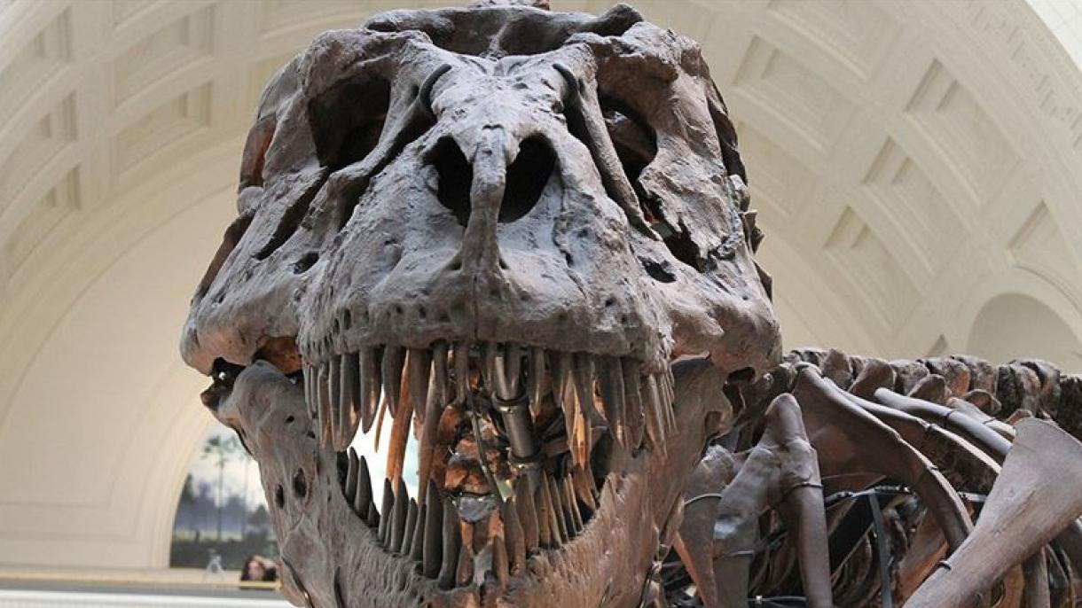 La población de dinosaurios no disminuyó antes de que el asteroide golpeara la Tierra