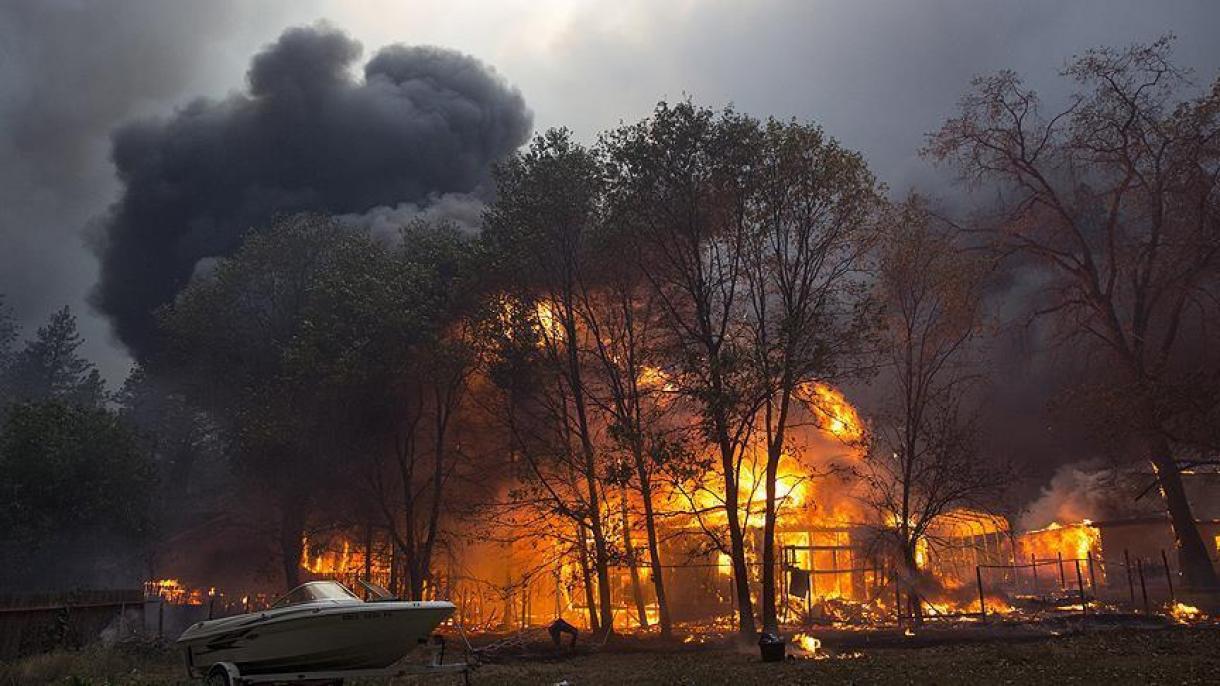 美国加州森林大火死亡人数增至83人