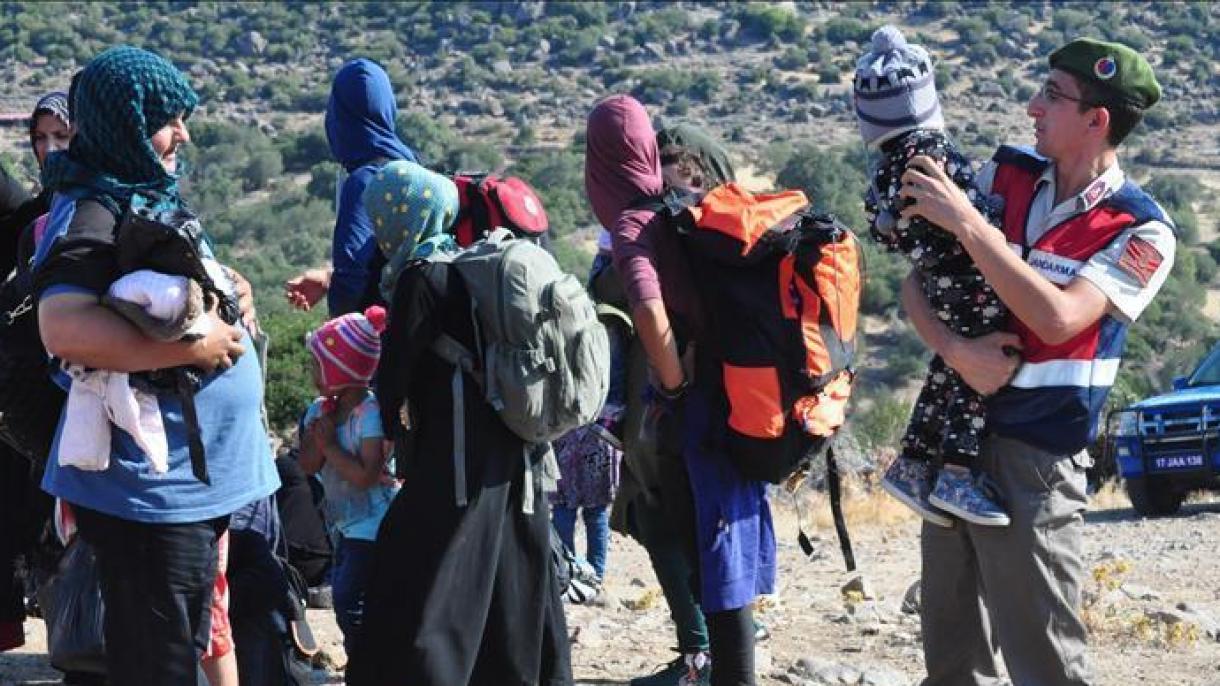 دستگیری 366 مهاجر غیرقانونی در ایدیرنه