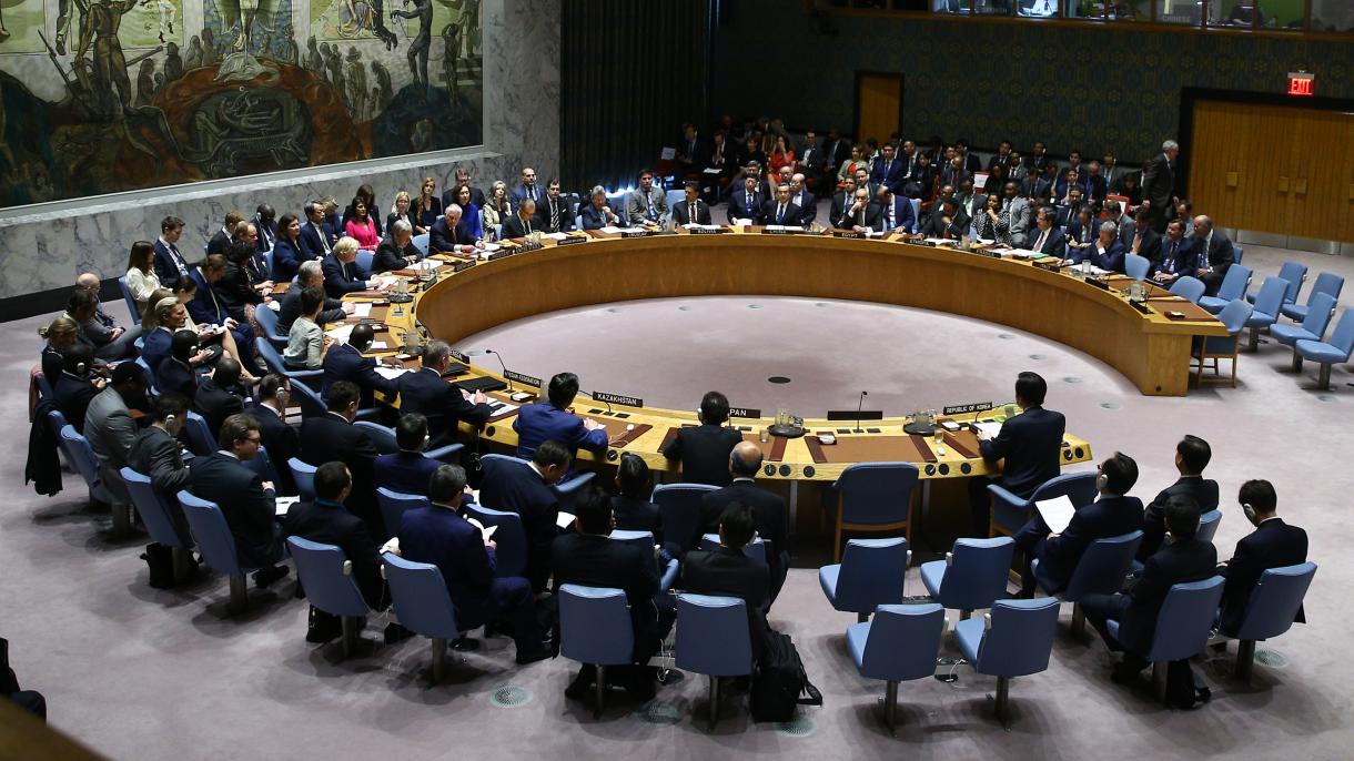La República Dominicana es el nuevo miembro del Consejo de Seguridad de la ONU