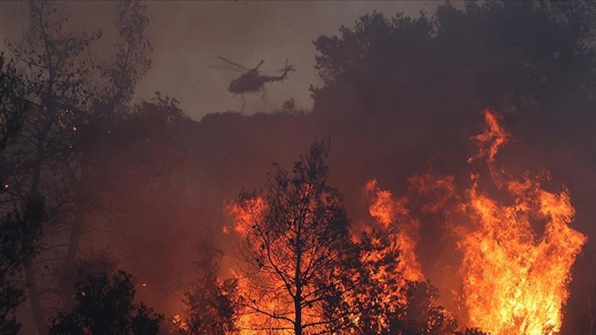 آتش سوزیهای جنگلی در یونان