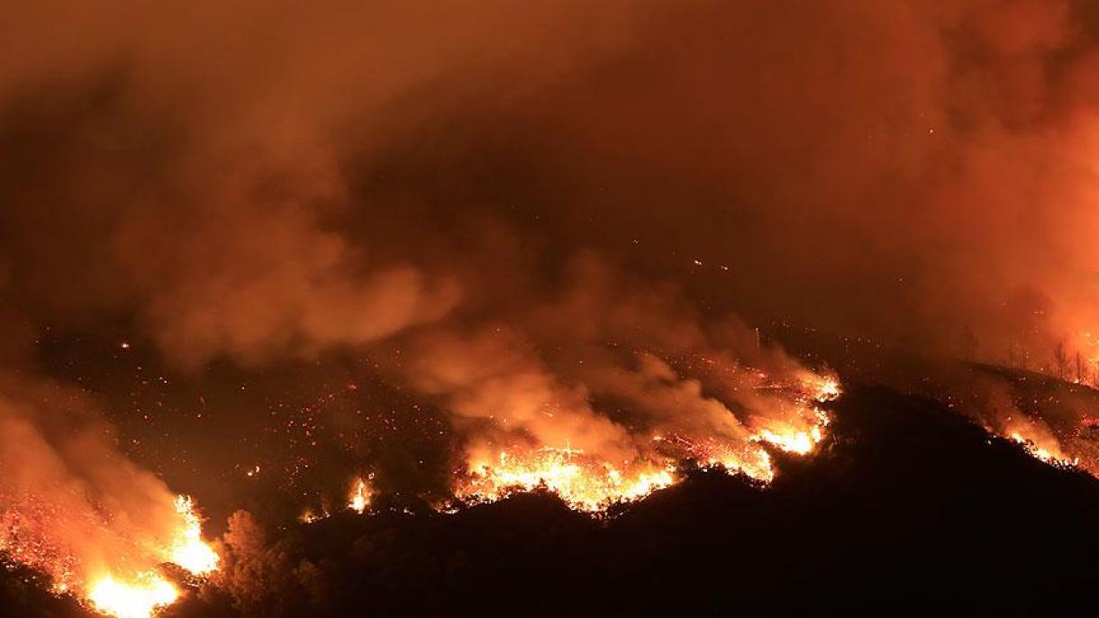 کینیڈا: تیزی سے پھیلتی جنگل کی آگ، وسیع جنگلاتی اراضی جل کر راکھ