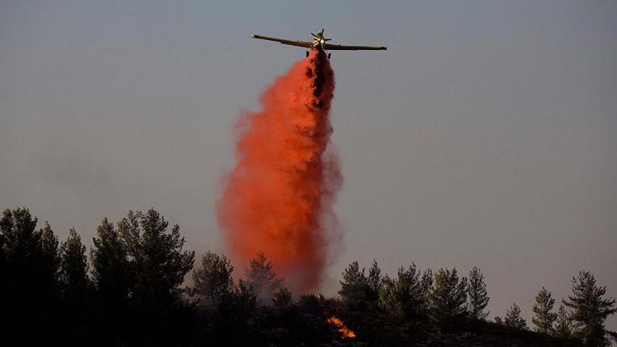 以色列致谢土耳其派遣消防飞机协助灭火