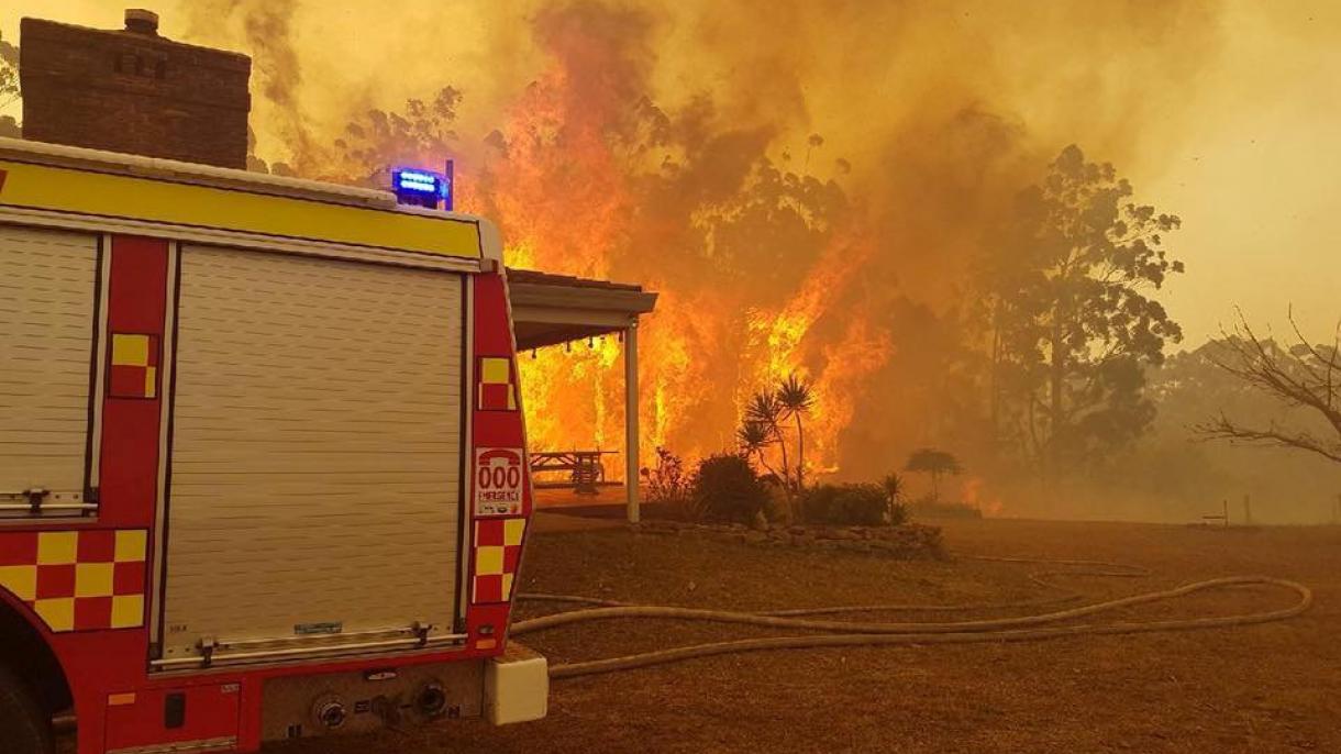 آسٹریلیا: آگ بجھانے میں مصرووف ہیلی کاپٹر درختوں سے ٹکراگیا،پائلٹ ہلاک