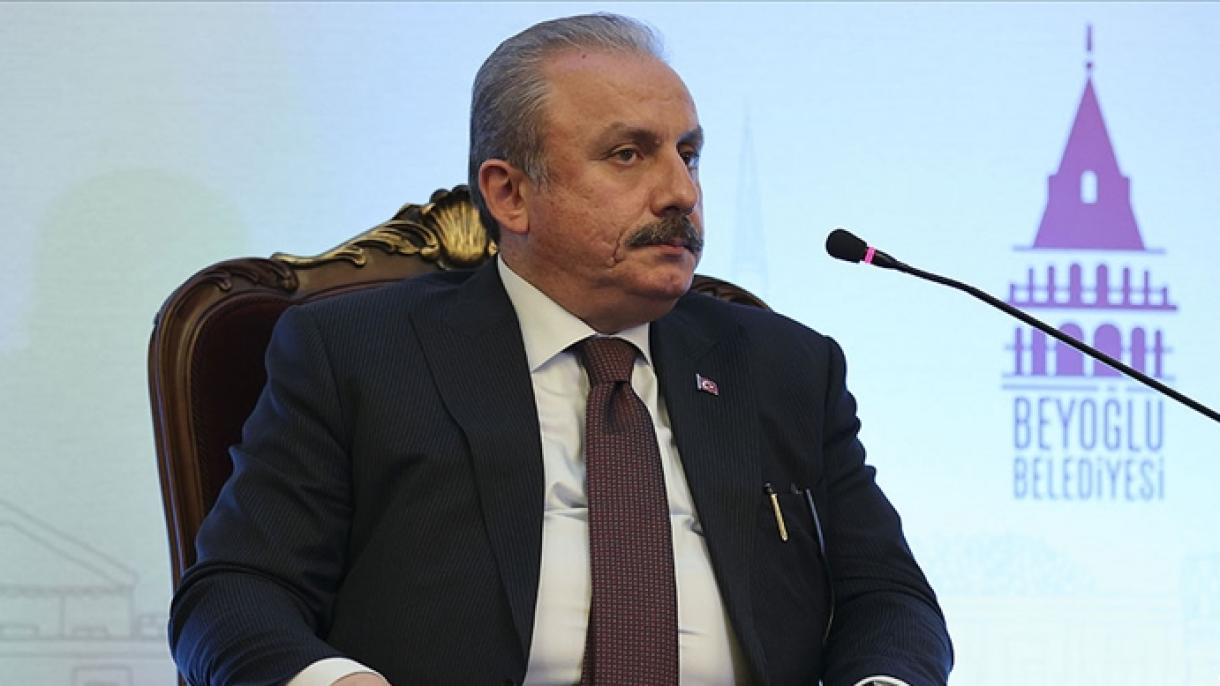 Şentop: ''Los problemas entre Ucrania y Rusia se resolverán por medios pacíficos''