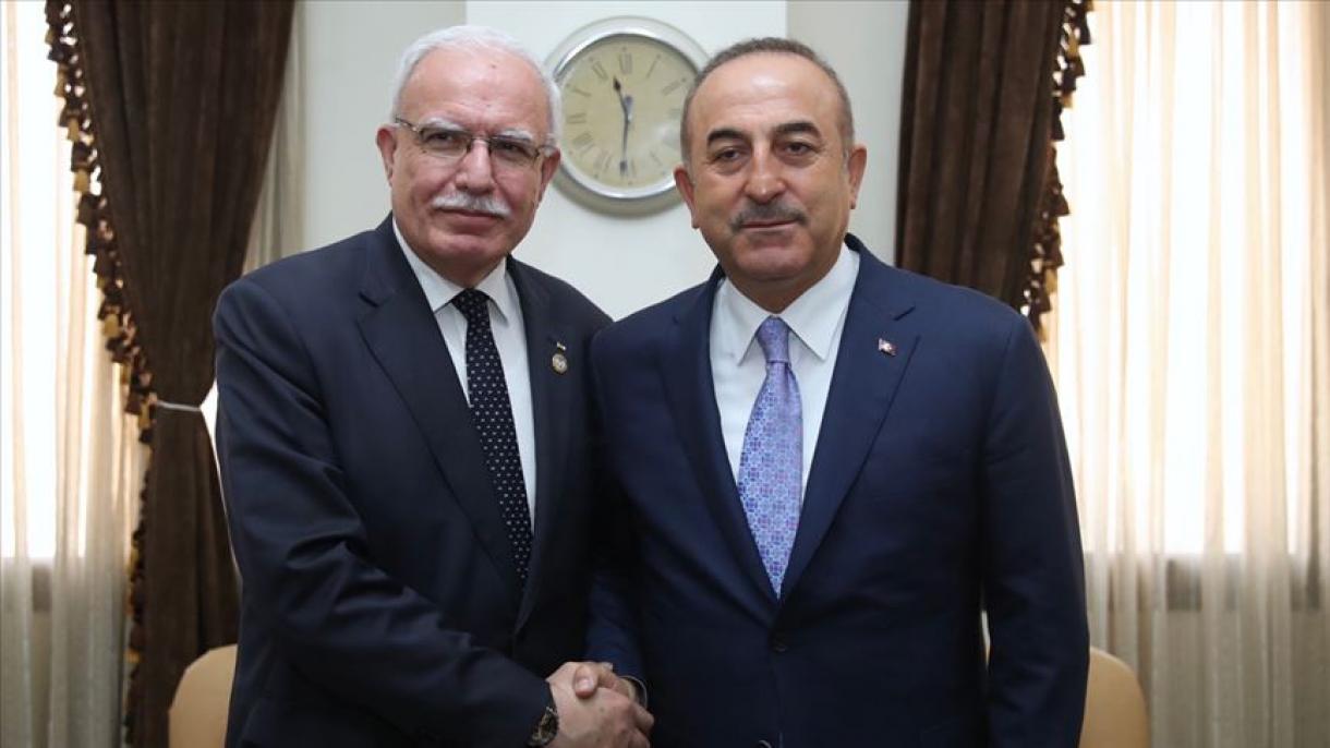 Cavușoglu a purtat discuții cu al-Maliki și Di Maio