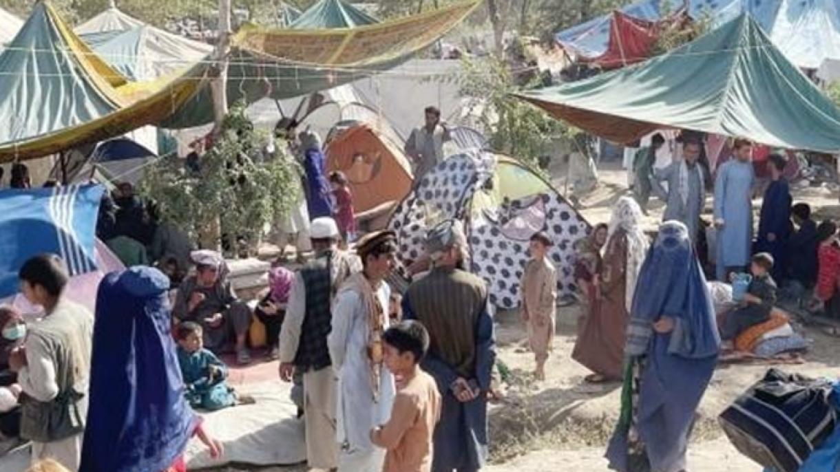 افغانستان میں 14 ملین افراد خوراک کے فقدان کے شکار، اقوام متحدہ
