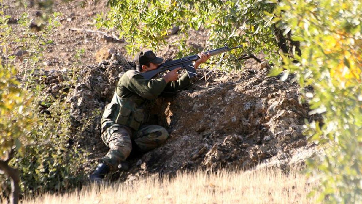 ترک مسلح افواج: آپریشنوں کے دوران 537 دہشت گرد زیر حراست
