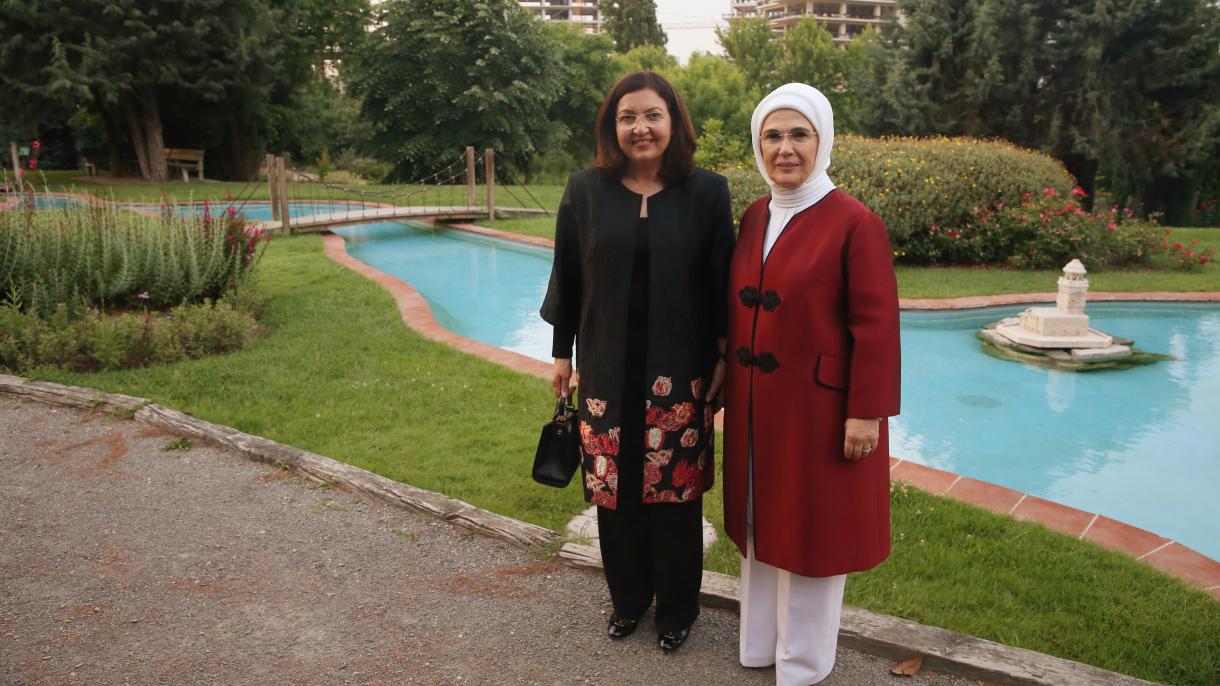 总统夫人与伊拉克总统夫人参观植物园
