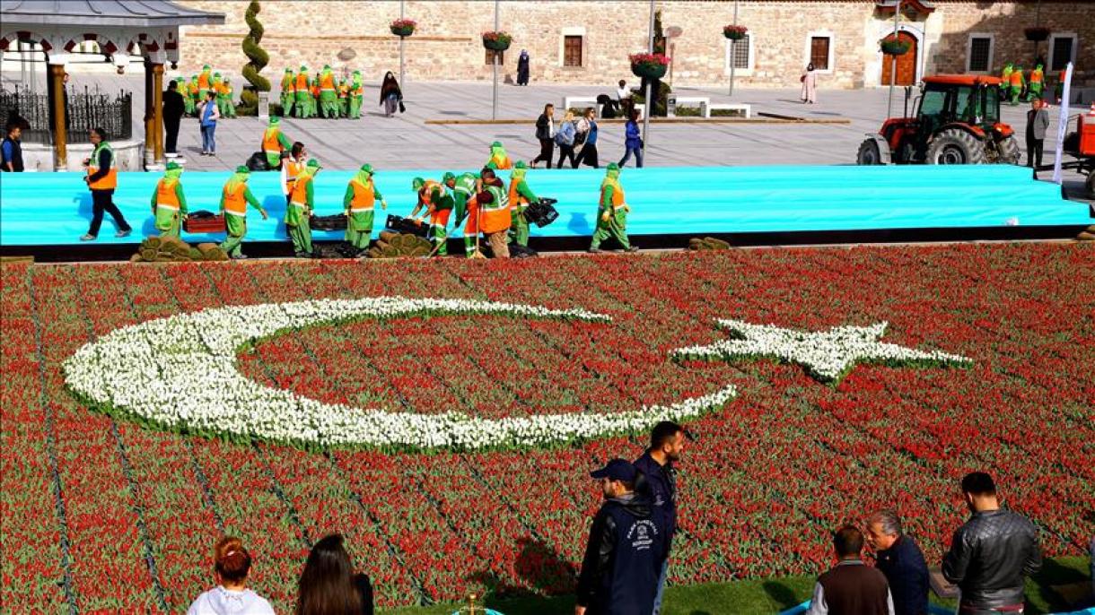 نمایش پرچم ترکیه با 156 هزار شاخه گل لاله