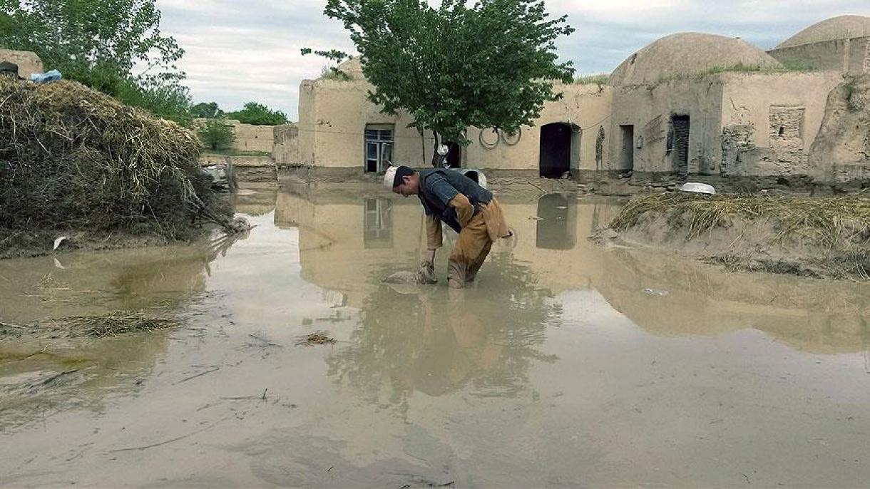 بەدەخشاندىكى سەل ئاپىتى يۈزلىگەن گېكتار تېرىلغۇ يەرلەرنى نابۇت قىلدى