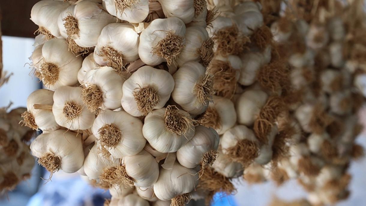 Taşköprü sarımsağı da Avropa İttifaqı sertifikatı aldı