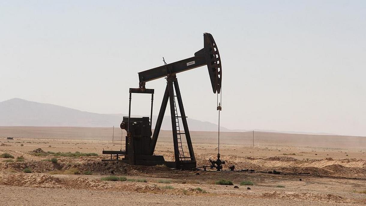 Brasil espera 2.900 millones dólares por concesiones petroleras