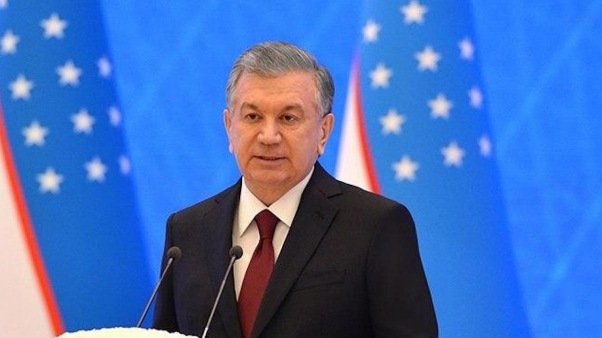 Өзбекстандын президенти Түркияга келди