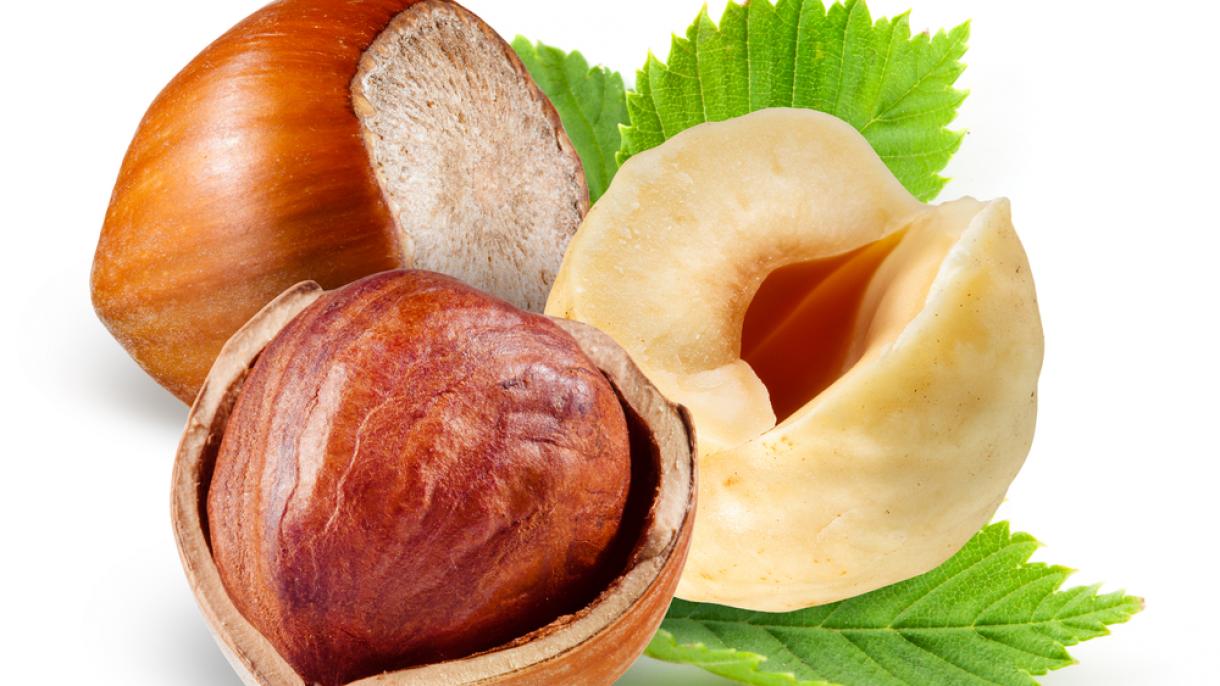 ایا تاسې پدې پوهیدلۍ