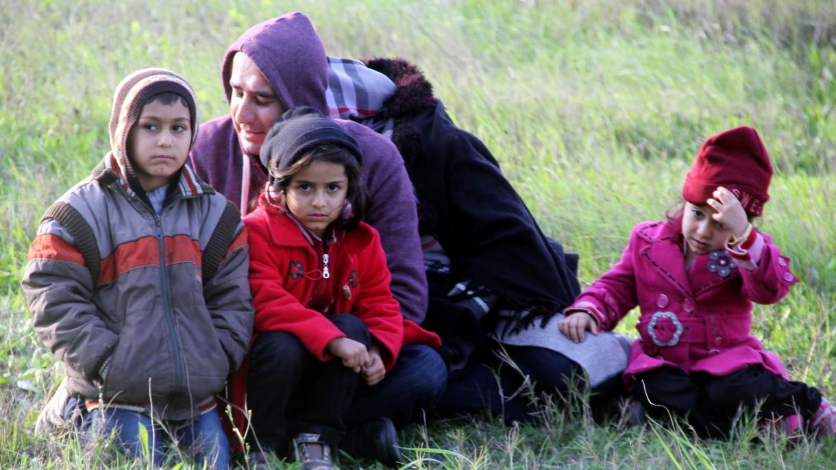 یونان نے اس سال  ہزاروں پناہ کے مطلوب افراد کو واپس کر دیا ہے:عالمی تنظیم