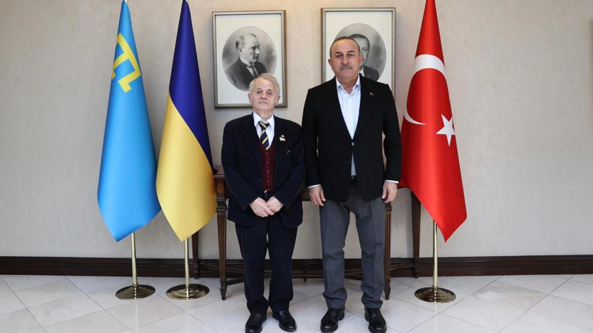 kirimoglu-cavusoglu.jpg