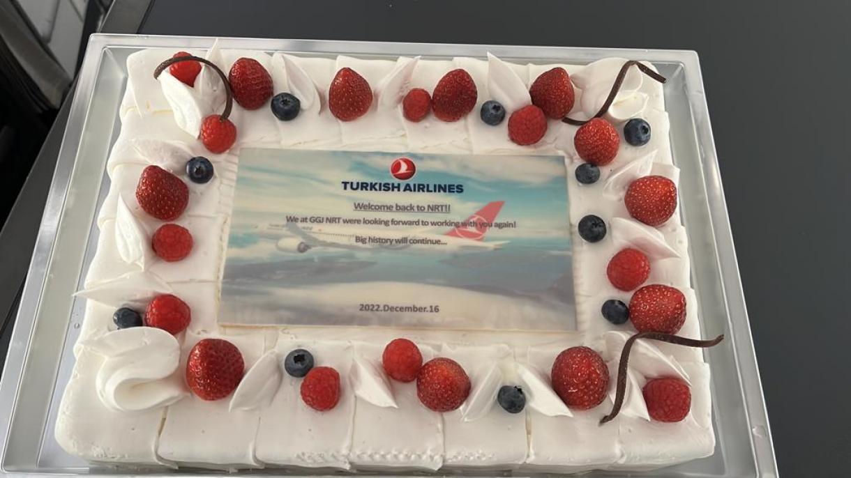 Türk Hava Yolları Tokionun Narita hava limanına uçuşları bərpa edir