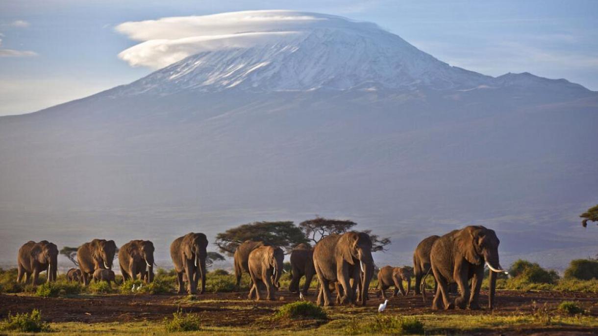 OMM: "Les trois champs glaciers d'Afrique disparaîtront d'ici 2040"
