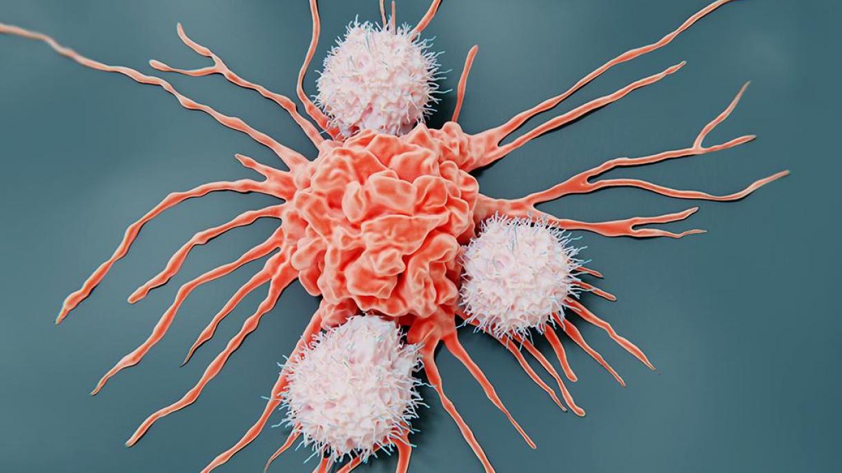 Cele mai frecvente tipuri de cancer la bărbați și femei
