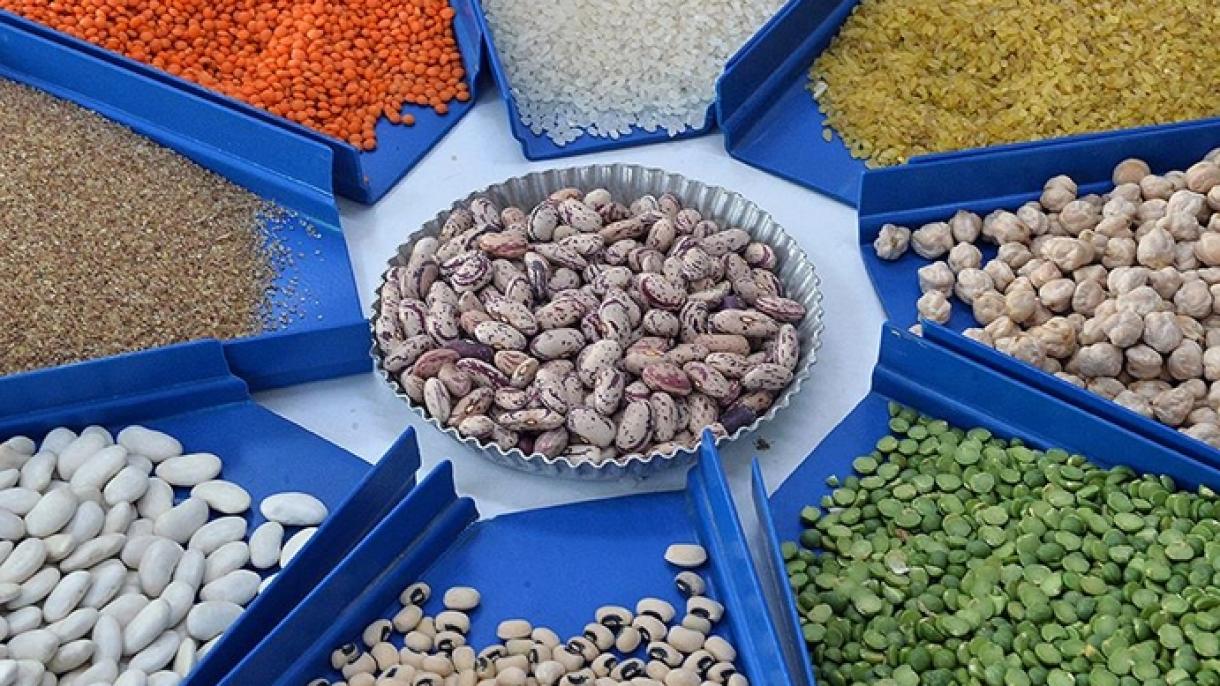 土耳其对俄罗斯出口的谷物和豆类大幅增长