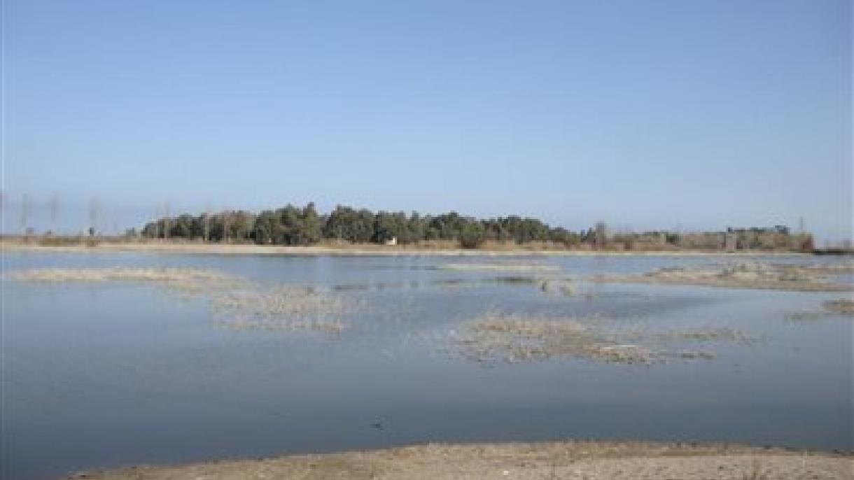 تالاب لپو در مازندران خشک شد