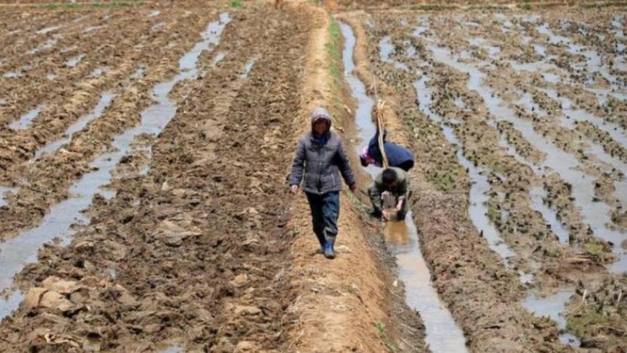 Şimali Koreya son 40 ilin ən şiddətli quraqlığını yaşayır