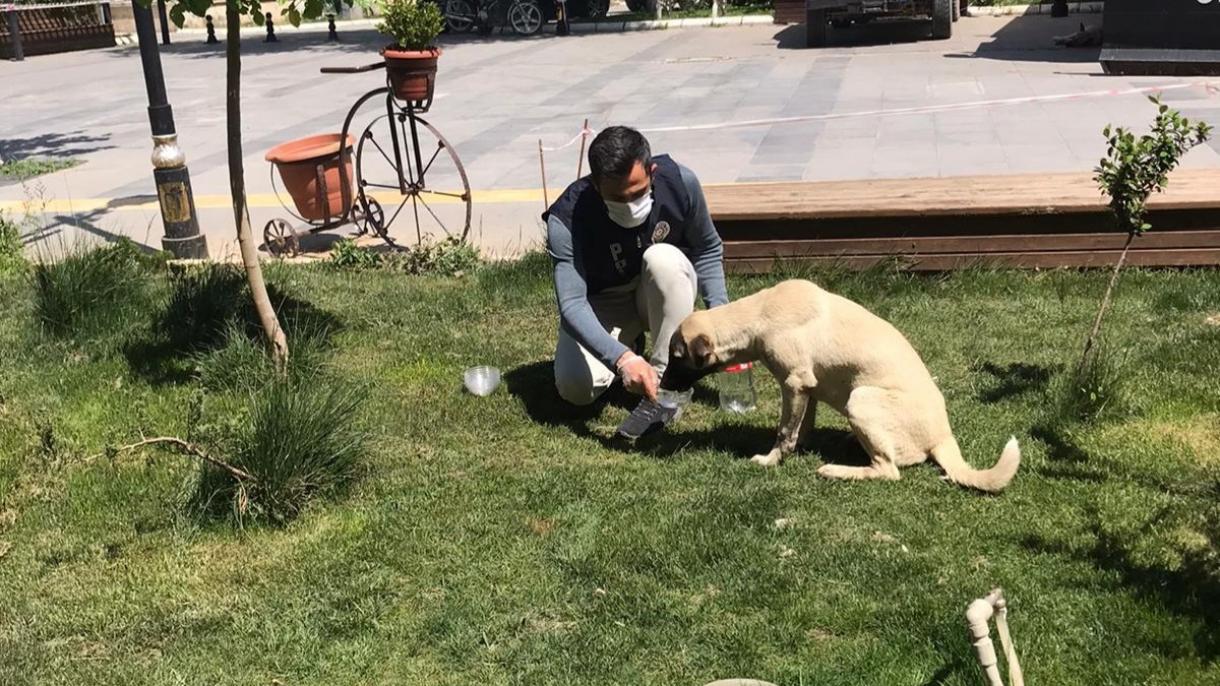 Turska: Policajci u danima pandemije nisu zaboravili ni na životinje na ulici
