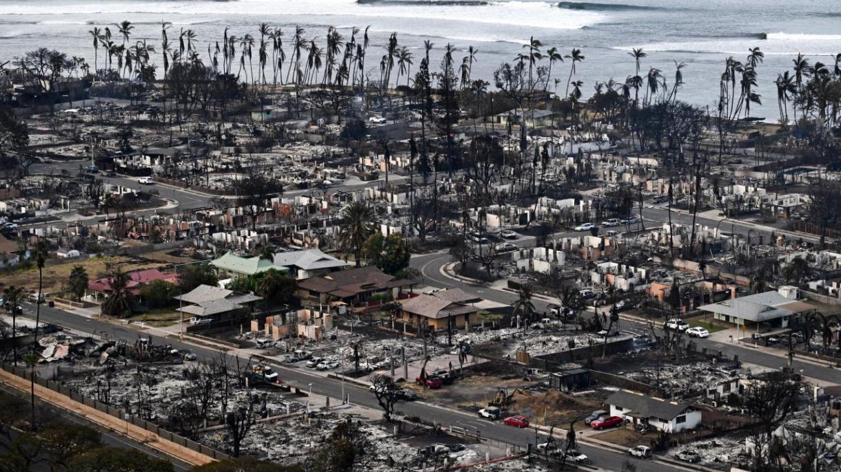 夏威夷森林火灾已造成115人死亡