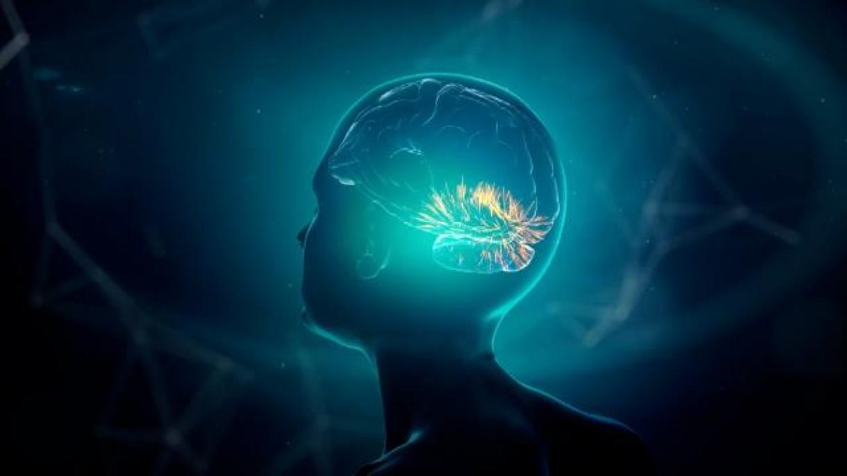 ماسک به آزمایش تراشه مغزی نزدیک میشود