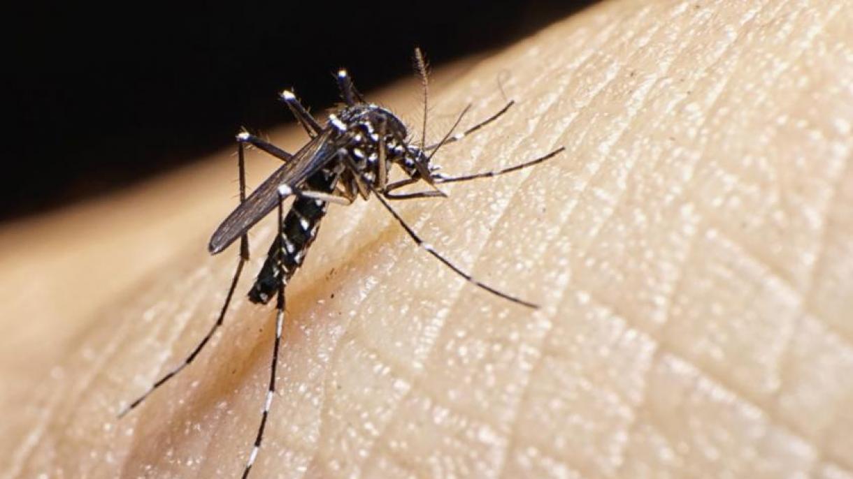 Siguen aumentando los casos de dengue en Indonesia