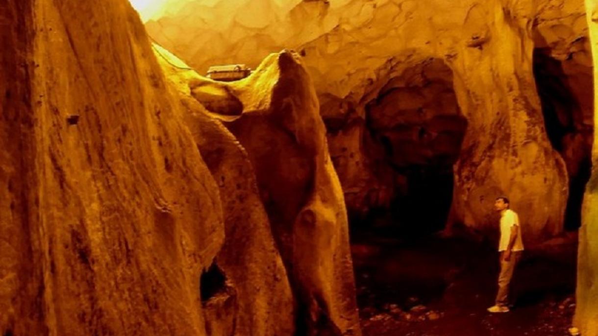 Arkeologët turq zbulojnë fosile kafshësh 350 mijë vjeçare