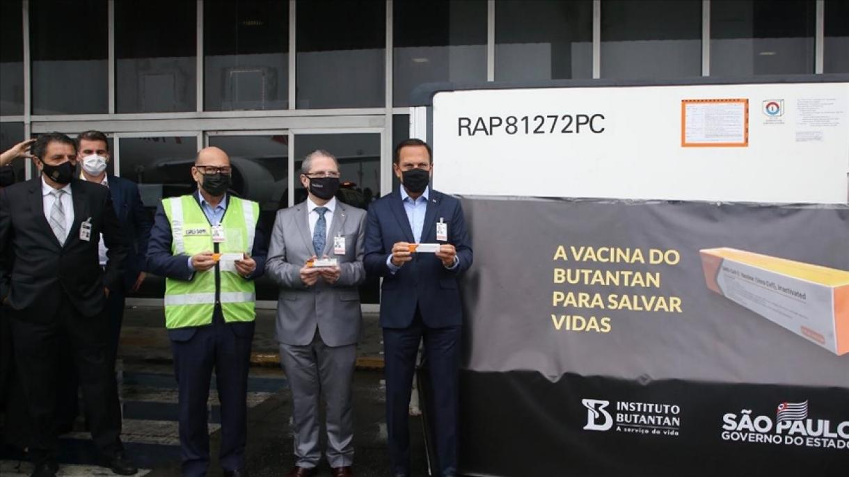 brezilya cin asisi.jpg