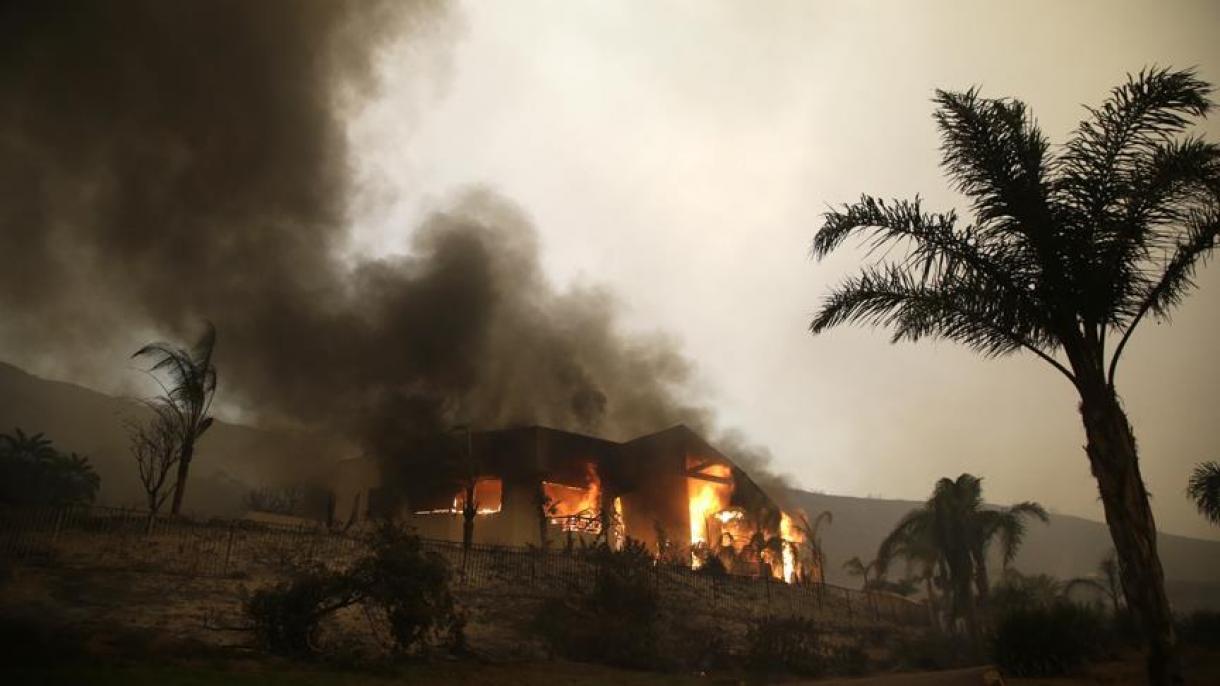 افزایش تلفات آتش سوزی جنگلی در کالیفرنیا به 31 نفر