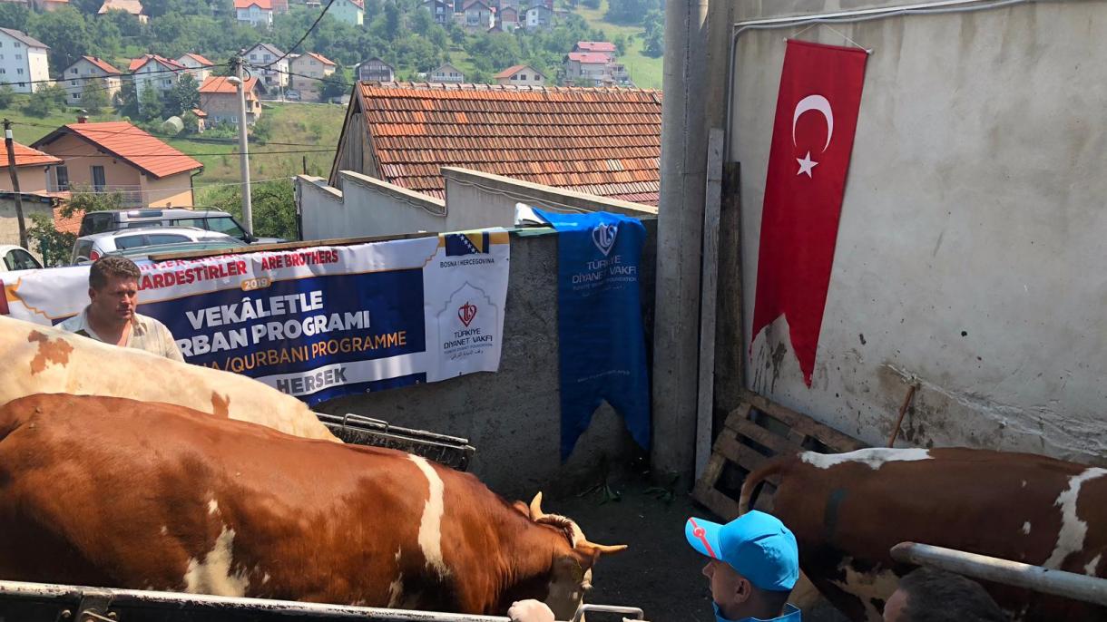 Turska Fondacija Diyanet podeliće kurbansko meso socijalno ugroženima u BiH i Srbiji